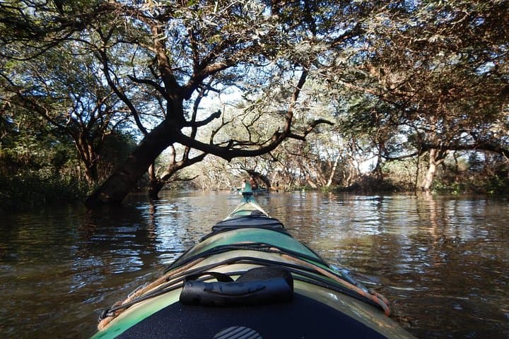 TRU KAYAK - Cruise along the majestic Uruguay River 4