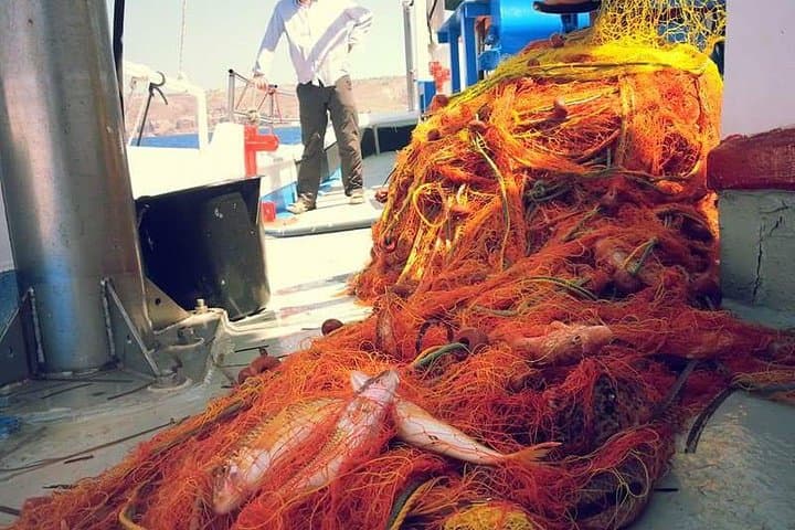  Private Fishing Tour - Morning (transportation included) 5