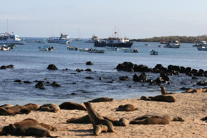 Full-Day Pinzon Island Snorkeling and Fishing  5