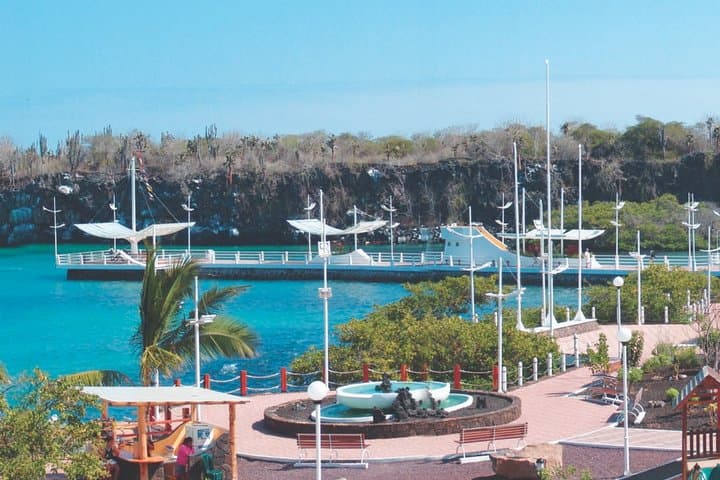 Full-Day Pinzon Island Snorkeling and Fishing  4