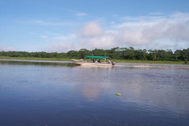 Piranha fishing experience in the Amazon jungle 5