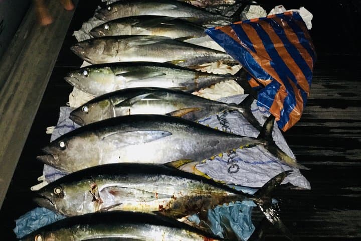 Seychelles Fishing 5