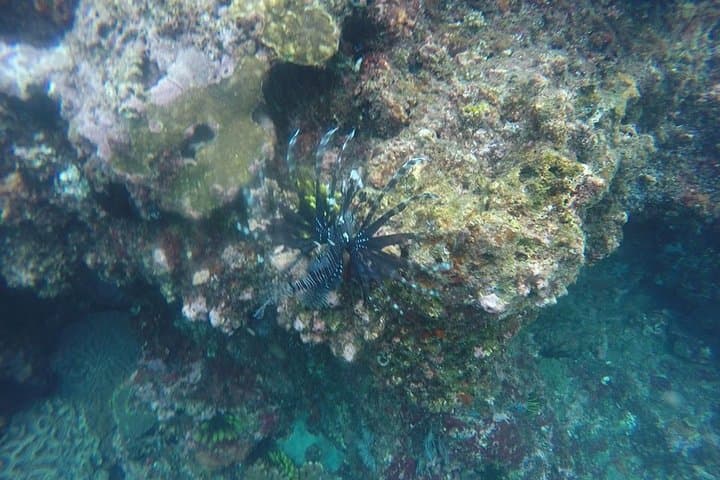 East Bali Spear Or Line Fishing Tour At Virgin Beach 4