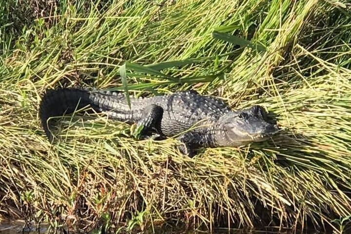 Private Lake June Fishing Charter in Florida 3