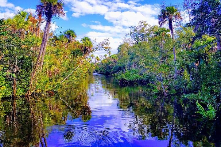 Peacock Bass Fishing Trip near Miami South Beach 3