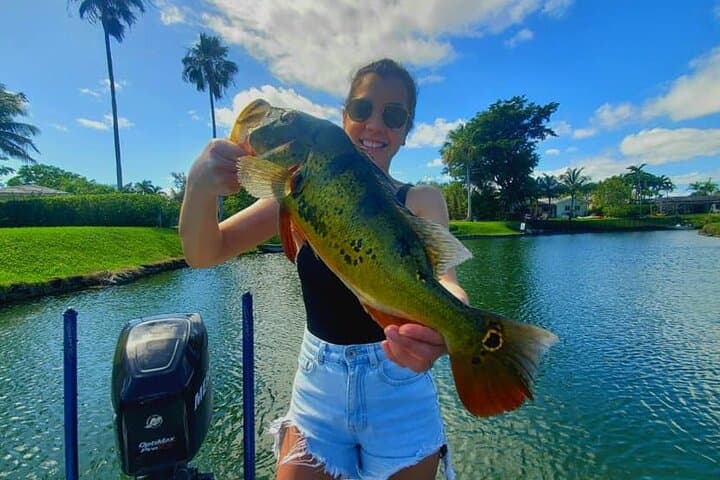 Peacock Bass Fishing Trip near Miami South Beach 2