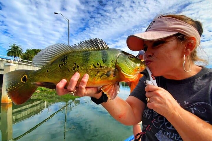 Peacock Bass Fishing Trip near Miami South Beach 4