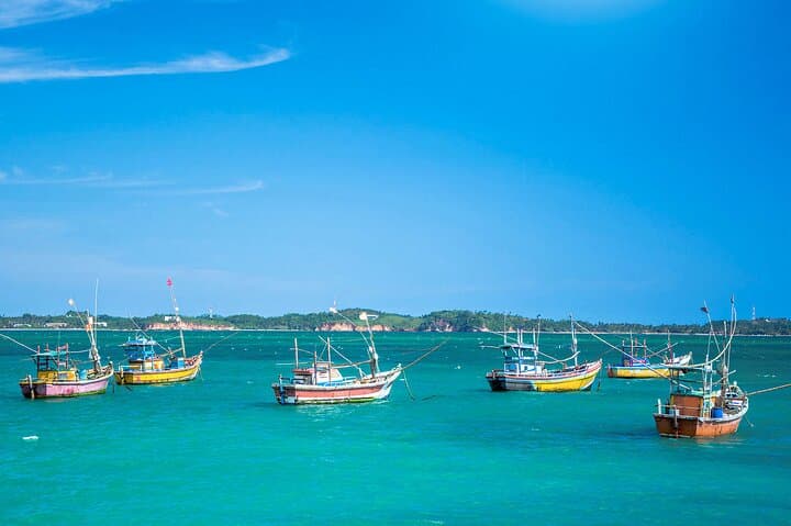 Lagoon Fishing from Negombo 2
