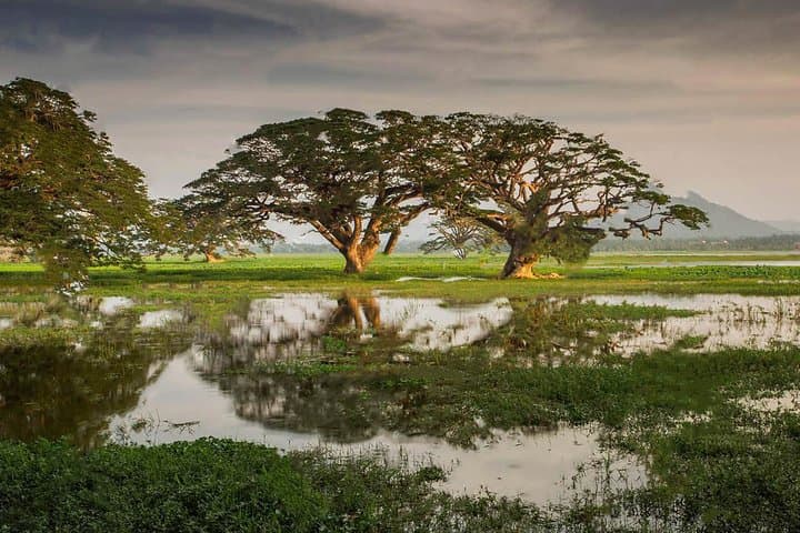 Lake Fishing in Tissamaharama 2
