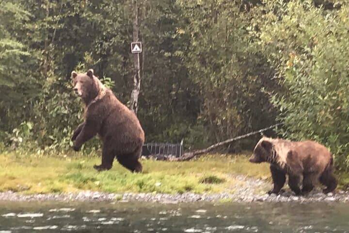 Full day fishing trips 5