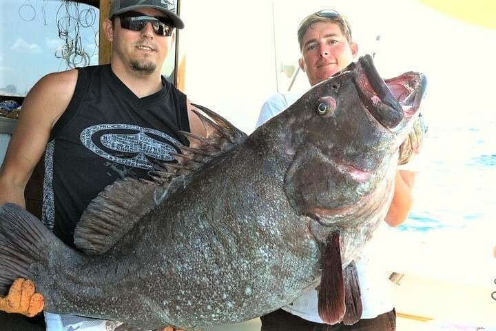 Private 4-Hour Big Game Deep Sea Fishing Charter in Fort Lauderdale 2