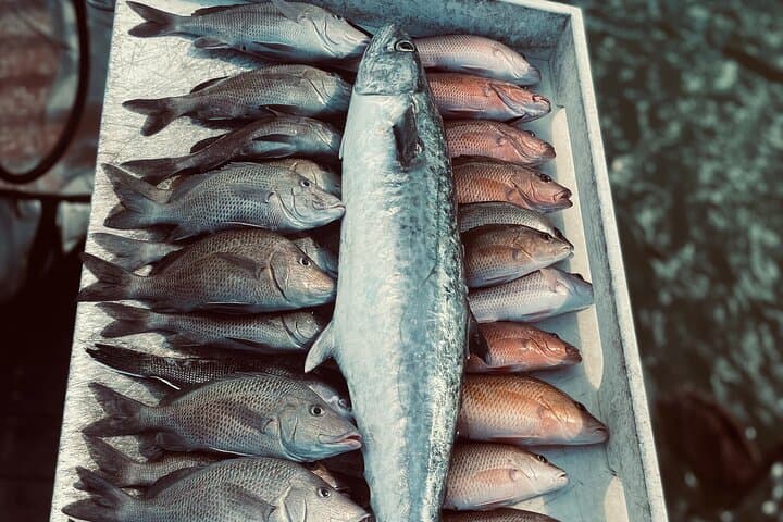 Clearwater Beach Fishing Charter! Half Day of Fishing Fun on the water!!!!! 2