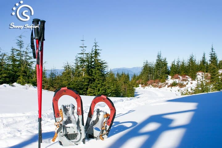 Arctic Ice Fishing by Snowshoe 2
