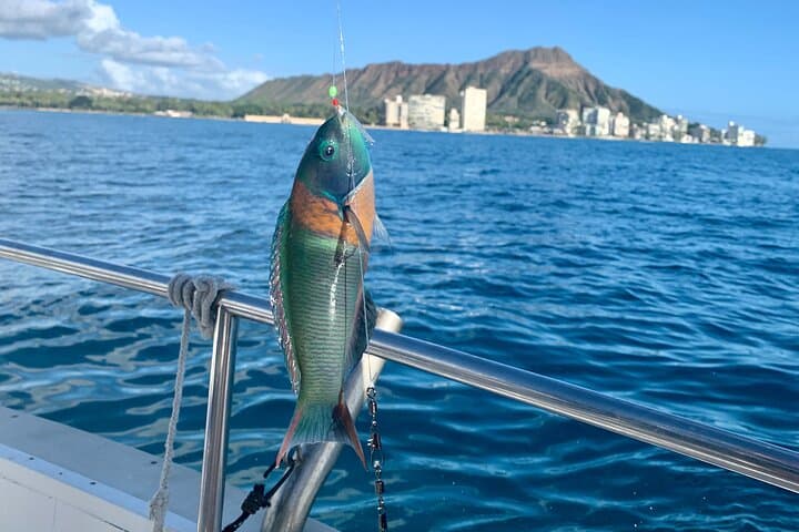 Private Fishing Charter for Family and Friends in Honolulu 3
