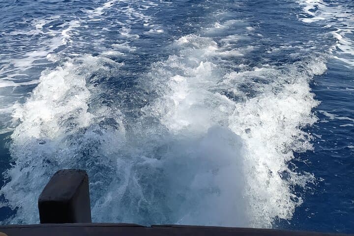 Nightly squid fishing - private tour 5