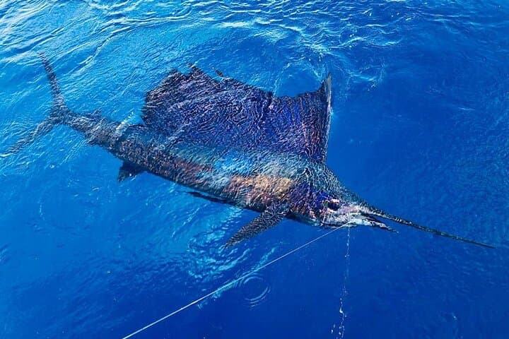 Full Day Fishing Charter - Inshore or Offshore 2