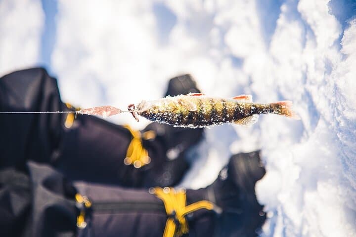 Ice Fishing Excursion with Campfire in Rovaniemi 2