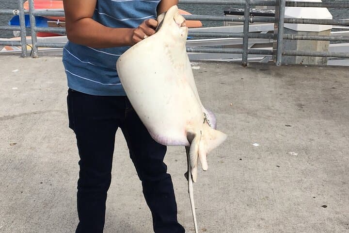 Pier Fishing Tour - San Diego 3