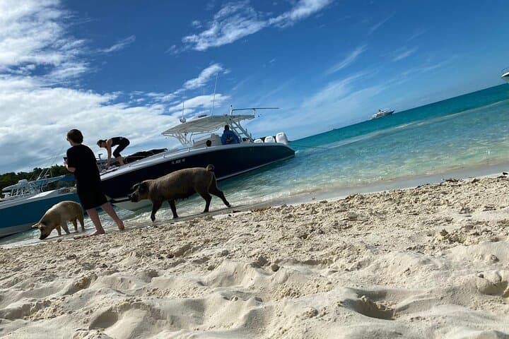 Boat Charters & Excursions  3