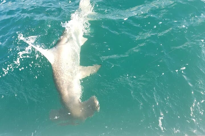 Private Fishing Charter Florida Keys 5