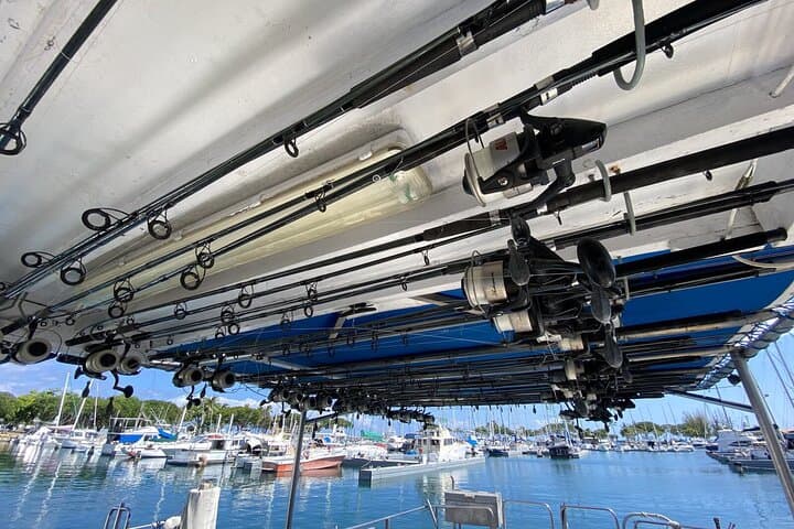 3-Hour Honolulu Bottom Fishing Adventure  3