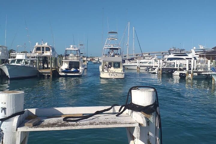 4 Hour Private Fishing Charter in Nassau 4