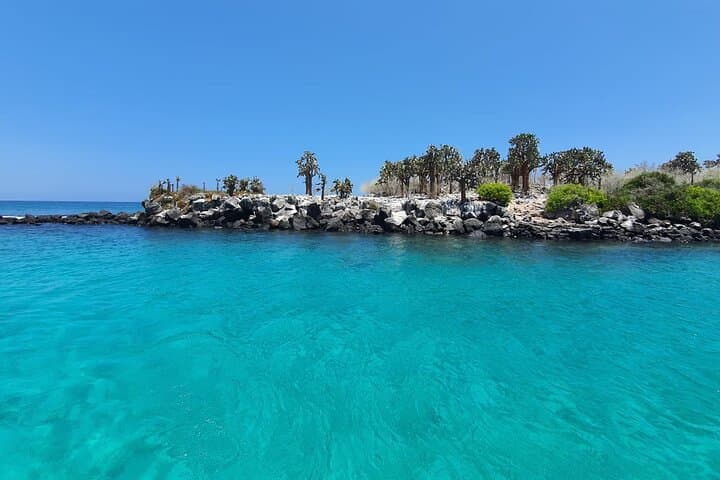Day Tour to Santa Fe Island and Hidden Beach with snorkeling and fishing 4