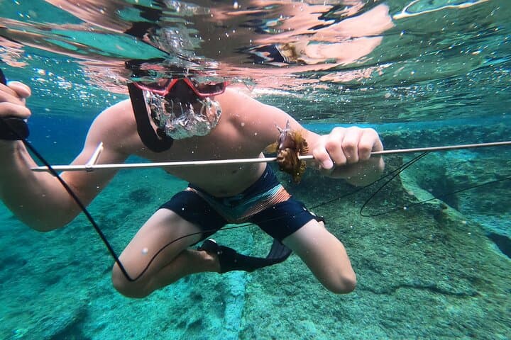 Spearfishing in Chania, Crete (price is per group) 2
