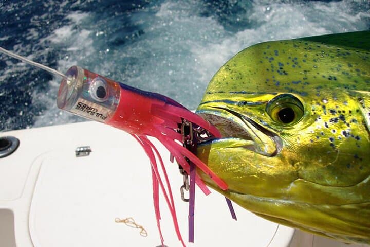 Extreme Game Fishing in Tanzania