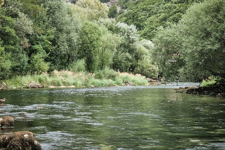 Guided Fishing Adventure on the Scenic Sana River with Lunch 3