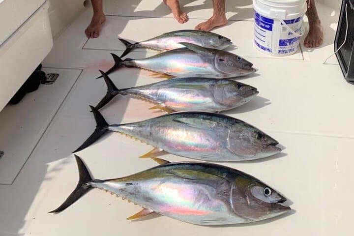 Full Day Playa Flamingo Private Fishing Trip 2