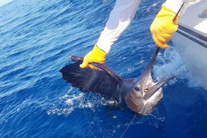 Full Day Playa Flamingo Private Fishing Trip 5