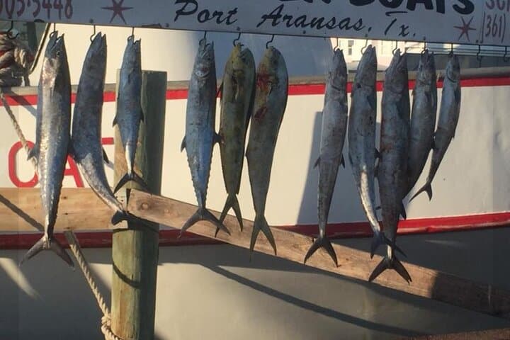 Private Offshore Fishing Charter from Port Aransas 5