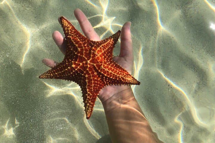 Half Day Private Boat Charter in Grand Cayman 4