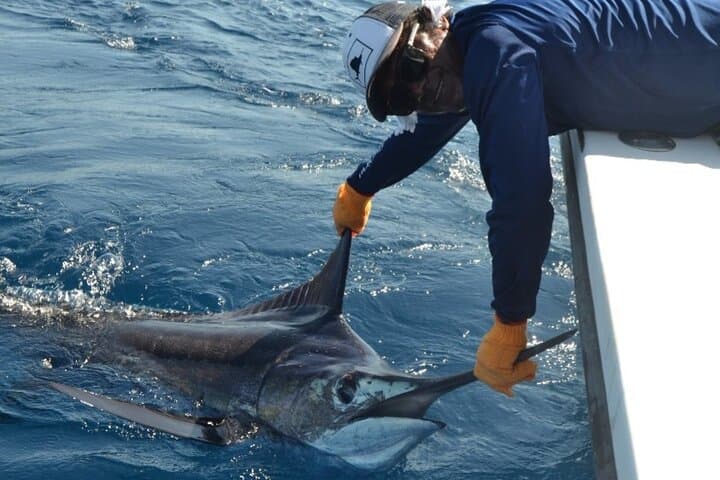 Fishing Charter In Tamarindo With Food & Beverages 4