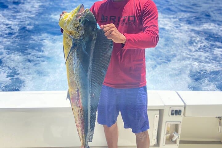 Fishing And Eating Straight From The Sea ( SAONA ISLAND AND PALMILLA) 2