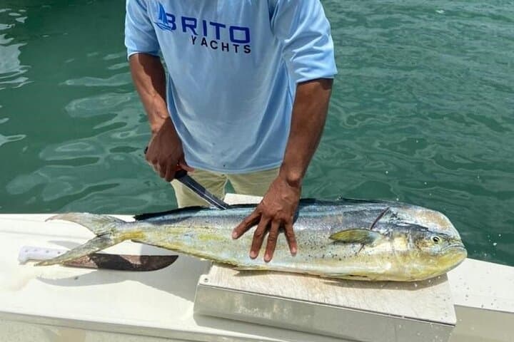 Fishing And Eating Straight From The Sea ( SAONA ISLAND AND PALMILLA) 4