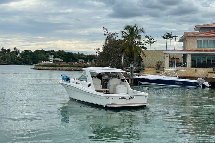 Private Yacht Tours To Isla Saona, Natural Pool Palmilla And Snorkeling. 2