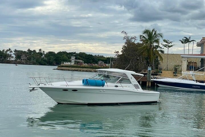 Private Yacht Tours To Isla Saona, Natural Pool Palmilla And Snorkeling.