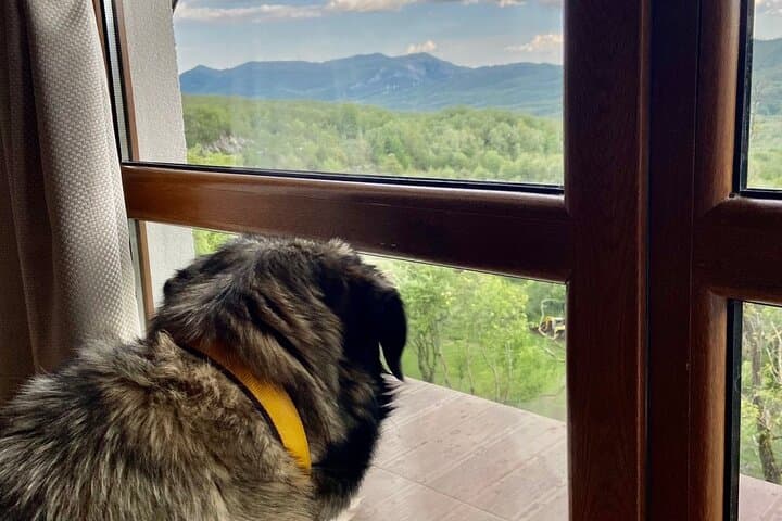 Mindful Yoga Retreat in Nature 4