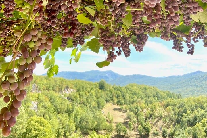 Mindful Yoga Retreat in Nature 5