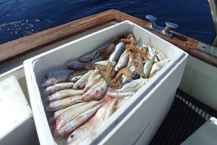 Corfu 4-Hour Private Boat & Fishing Cruise-Explore, Fish & Swim 4