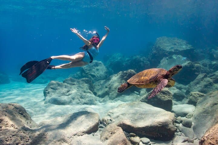 4 hour Private Custom Kayak Tour Lahaina 3