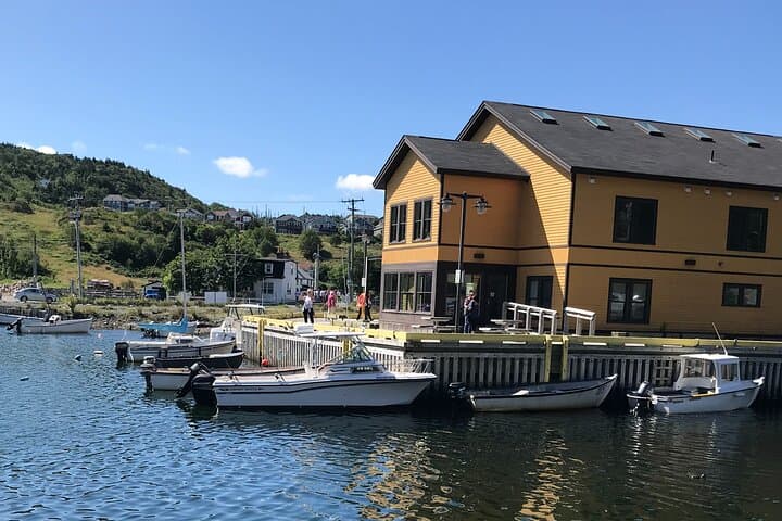  Boat Tours from Quidi Vidi Marina 3