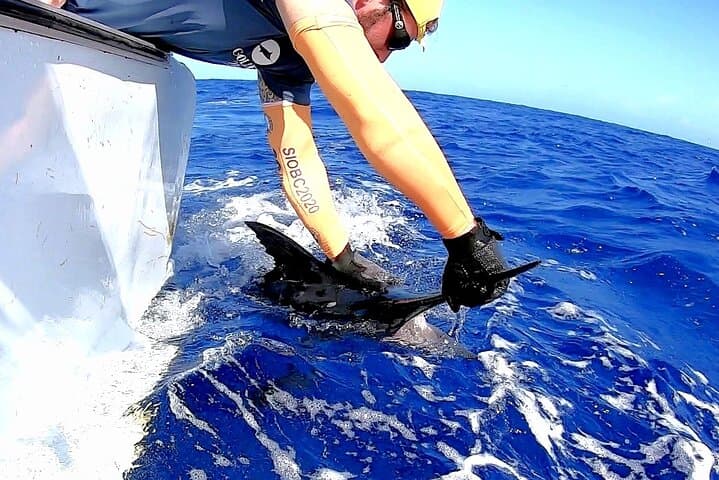 GOLDEN WAVE 3 - IGFA Captain Vic - Blue Marlin Fishing 2