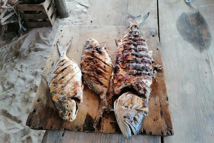 Private Fishing Tour in Holbox Island with Lunch and Pick up 5