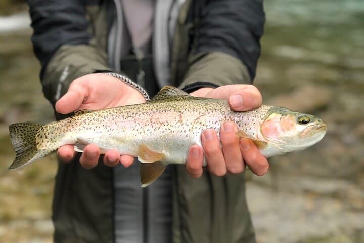 4 Days 3 Nights Trout Fly Fishing Trip in the Andes of Peru 5