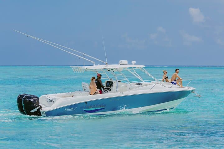 Half-Day Private Stingray City Charter - Grand Cayman - BTC
