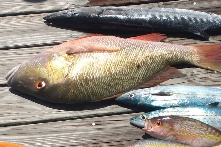 Ultimate Bahamas Deep Sea Fishing Adventure 4