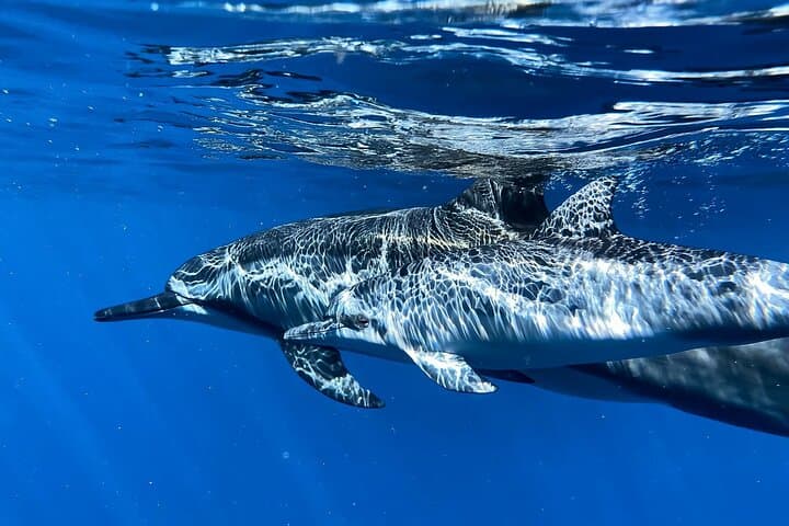 3-Hour Luxury Private Custom Charter 2